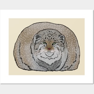 Round Pallas Cat Posters and Art